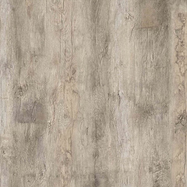 Ламинат Kastаmonu Floorpan Sunfloor 4V Ясень Вирджиния SF 51