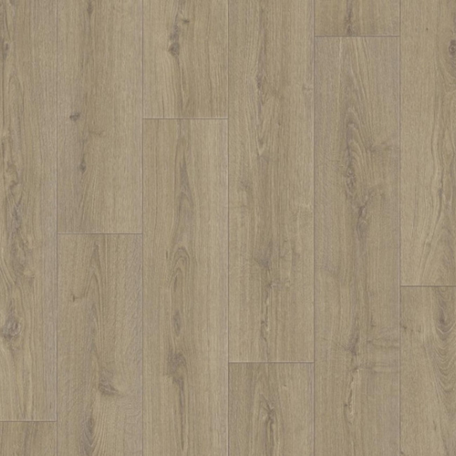 Линолеум Tarkett Praktika Bruno 1